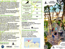 flyer 2023