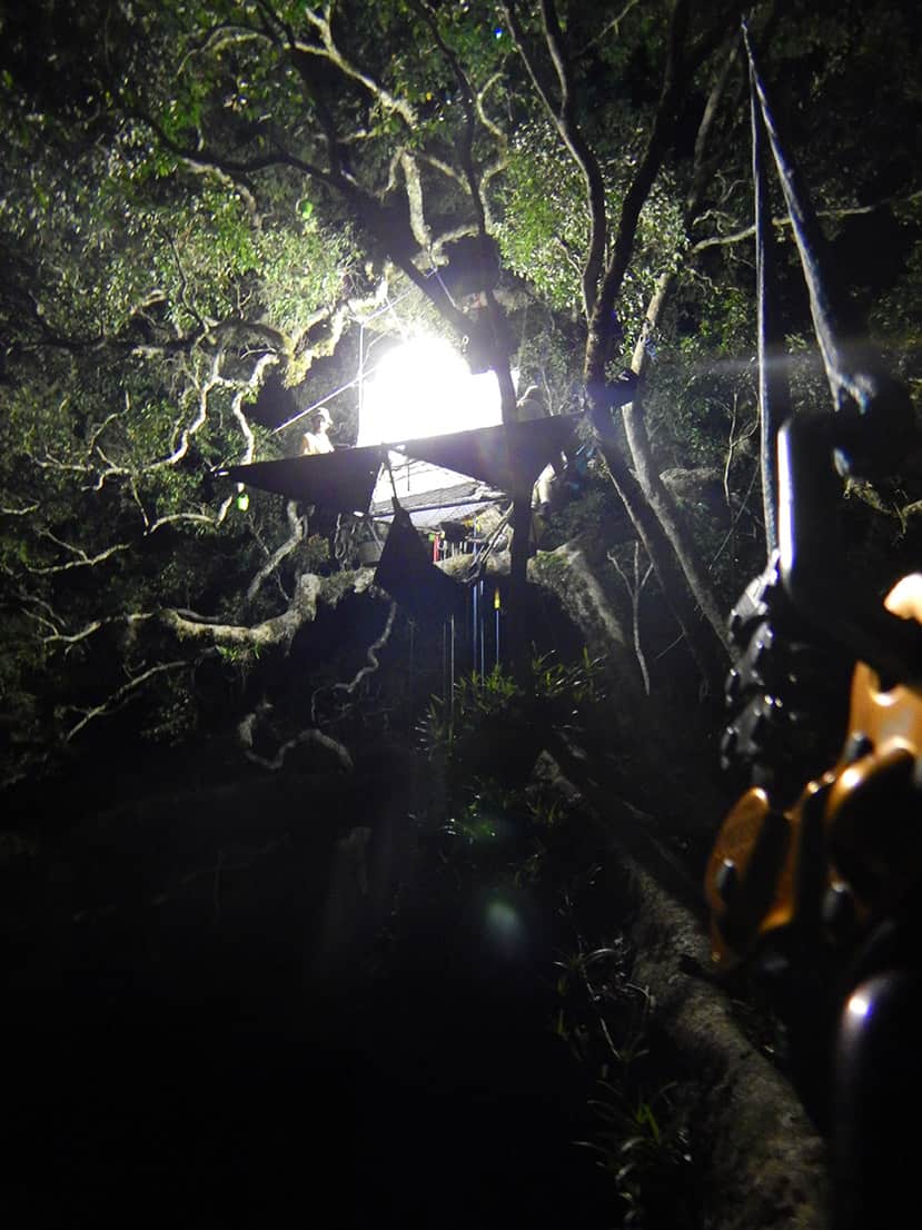 utopiarbre plateforme scientifique Epiphyte Côte d_ivoire forêt de Taï chasse nocturne antomo