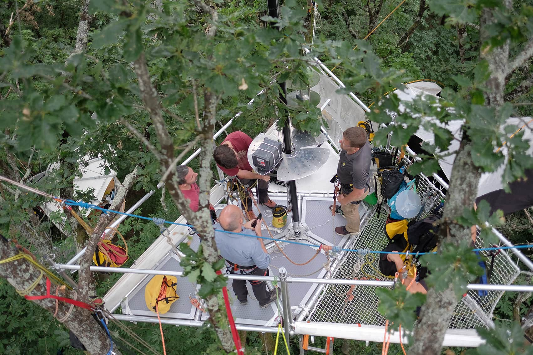 utopiabre usage scientifiques Epiphyte IRBI CNRS Tours 2022