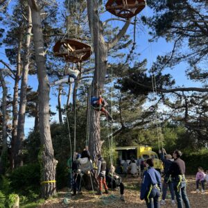 apprendre la grimpe d'arbres utopiabre plage de tourony côte de granit rose