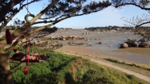 bivouac tourony(2)