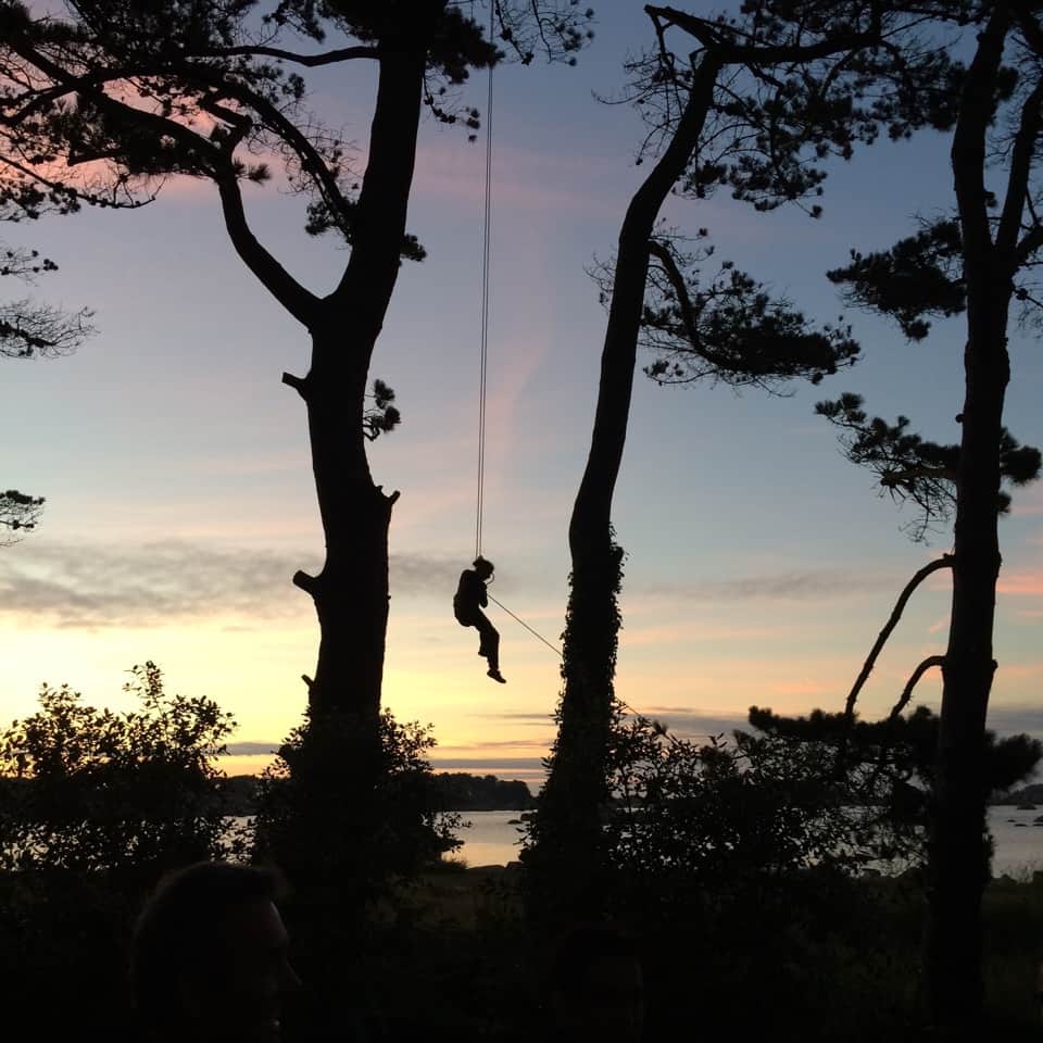 utopiarbre grimpe tourony couché du soleil