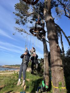 initiation grimpe d’arbre utopiabre plage de tourony à trégastel