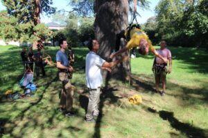 utopiarbre formation CQP educateur grimpe d’arbres certificat de qualification professionnelle utopiarbre formation CQP educateur grimpe d'arbres certificat de qualification professionnelle
