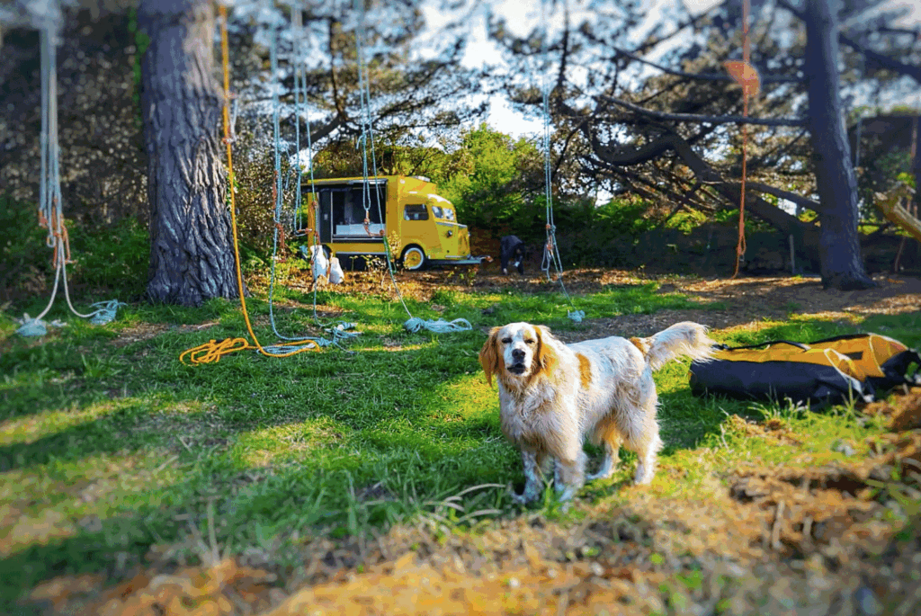 guinguette-arbrosanteur-quo-vadis-à-trégastel-et-grimpe-d&rsquo;arbres